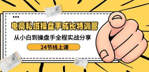 电商私域-操盘手成长特训营：从小白到操盘手全程实战分享-24节线上课-轻松搞定副业 - 高效赚钱方法和建议