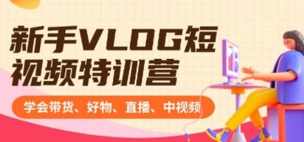 新手VLOG短视频特训营：学会带货、好物、直播、中视频、赚Q方法（16节课）-轻松搞定副业 - 高效赚钱方法和建议