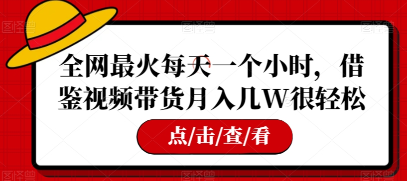全网最火每天一个小时，借鉴视频带货月入几W很轻松【揭秘】-轻松搞定副业 - 高效赚钱方法和建议