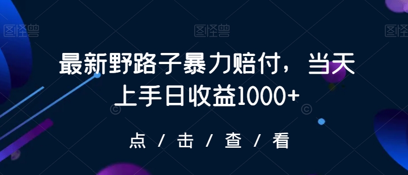 最新野路子暴力赔付，当天上手日收益1000+【仅揭秘】-轻松搞定副业 - 高效赚钱方法和建议