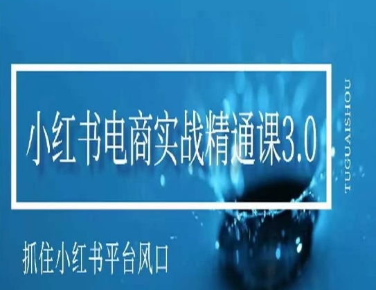 小红书电商实战精通课3.0，抓住小红书平台的风口，不错过有一个赚钱的机会-轻松搞定副业 - 高效赚钱方法和建议