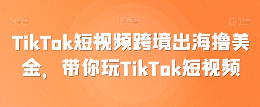 TikTok短视频跨境出海撸美金，带你玩TikTok短视频-轻松搞定副业 - 高效赚钱方法和建议