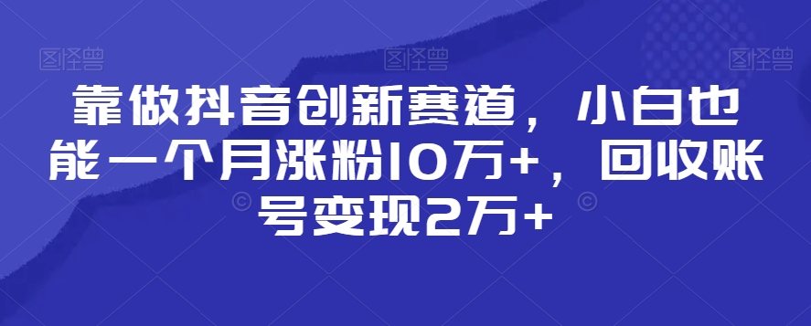 靠做抖音创新赛道，小白也能一个月涨粉10万+，回收账号变现2万+【揭秘】-轻松搞定副业 - 高效赚钱方法和建议