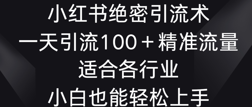 小红书绝密引流术，一天引流100+精准流量，适合各个行业，小白也能轻松上手【揭秘】-轻松搞定副业 - 高效赚钱方法和建议