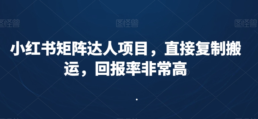 小红书矩阵达人项目，直接复制搬运，回报率非常高-轻松搞定副业 - 高效赚钱方法和建议