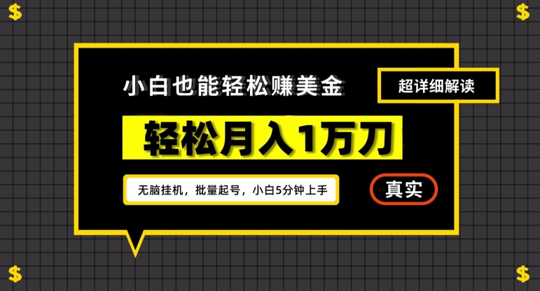 谷歌看广告撸美金2.0，无脑挂机，多号操作，月入1万刀【揭秘】-轻松搞定副业 - 高效赚钱方法和建议