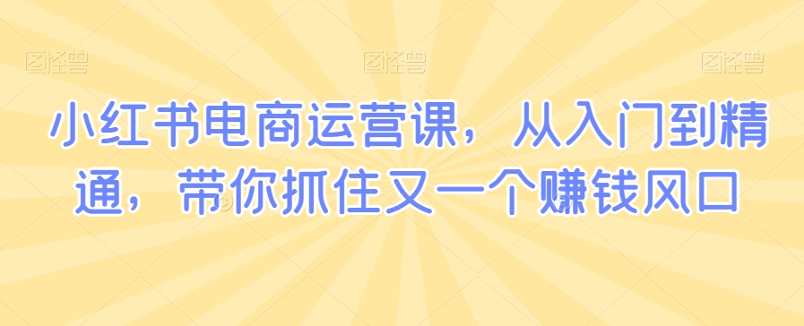 小红书电商运营课，从入门到精通，带你抓住又一个赚钱风口-轻松搞定副业 - 高效赚钱方法和建议