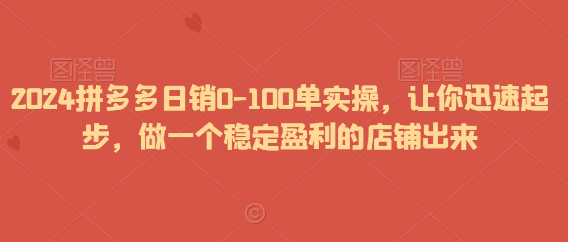 2024拼多多日销0-100单实操，让你迅速起步，做一个稳定盈利的店铺出来-轻松搞定副业 - 高效赚钱方法和建议