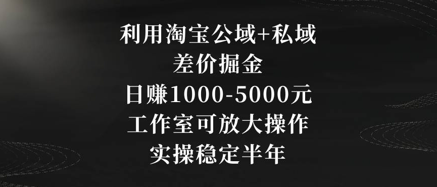 利用淘宝公域+私域差价掘金，日赚1000-5000元，工作室可放大操作，实操稳定半年【揭秘】-轻松搞定副业 - 高效赚钱方法和建议