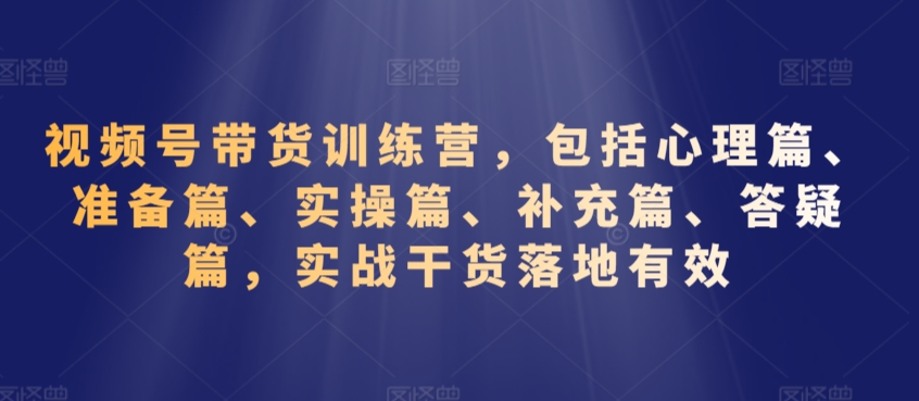 视频号带货秘籍：揭秘商机，手把手教你月入过万视频号带货全景指南：掌握电商新阵地-轻松搞定副业 - 高效赚钱方法和建议