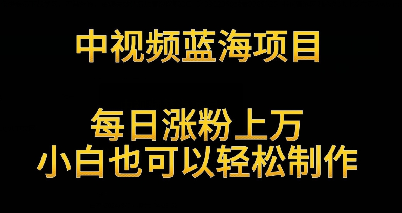 中视频蓝海项目，解读英雄人物生平，每日涨粉上万，小白也可以轻松制作，月入过万不是梦【揭秘】-轻松搞定副业 - 高效赚钱方法和建议