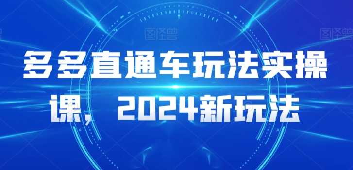 多多直通车玩法实操课，2024新玩法-轻松搞定副业 - 高效赚钱方法和建议