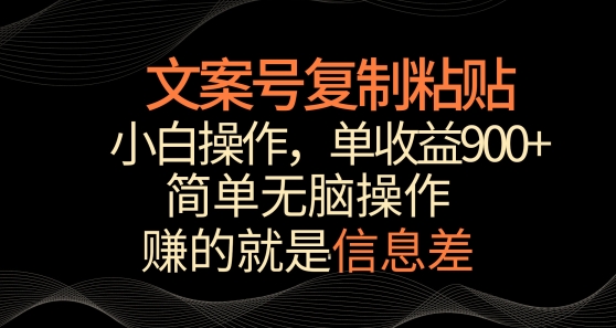 文案号掘金，简单复制粘贴，小白操作，单作品收益900+【揭秘】-轻松搞定副业 - 高效赚钱方法和建议