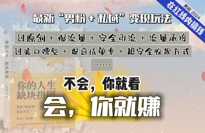 2024，“男粉+私域”还是最耐造、最赚、最轻松、最愉快的变现方式【揭秘】-轻松搞定副业 - 高效赚钱方法和建议