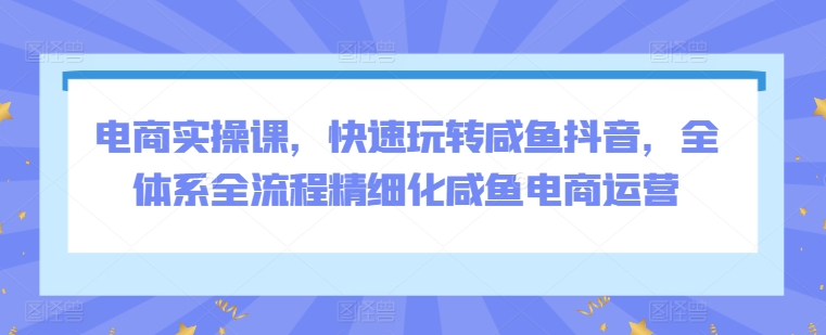 电商实操课，快速玩转咸鱼抖音，全体系全流程精细化咸鱼电商运营-轻松搞定副业 - 高效赚钱方法和建议