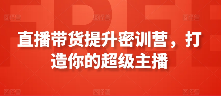 直播带货提升密训营，打造你的超级主播-轻松搞定副业 - 高效赚钱方法和建议