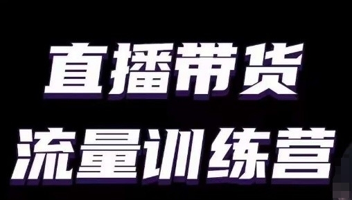 直播带货流量训练营，小白主播必学直播课-轻松搞定副业 - 高效赚钱方法和建议