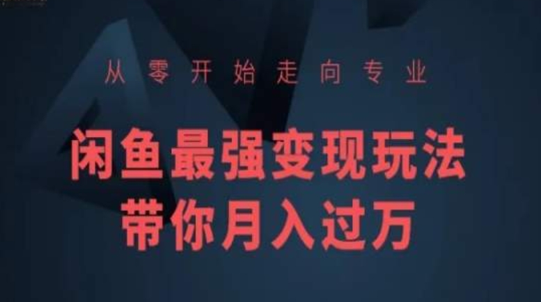从零开始走向专业，闲鱼最强变现玩法带你月入过万-轻松搞定副业 - 高效赚钱方法和建议