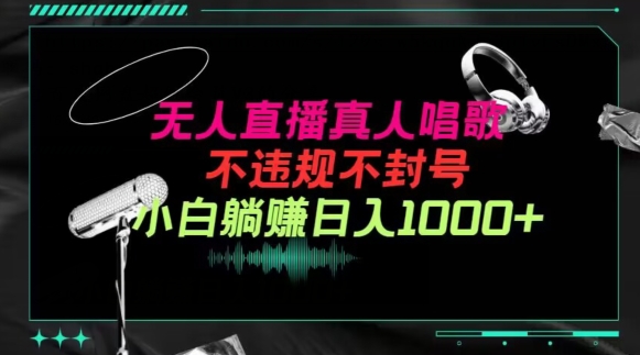 抖音24小时无人直播音乐，不违规，不封号纯撸音浪，小白实操当天日入1000+【揭秘】-轻松搞定副业 - 高效赚钱方法和建议