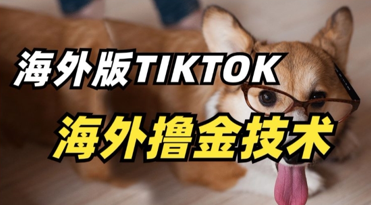 抖音海外版tiktok撸金技术，这个风口行业，赚钱真的不难【揭秘】-轻松搞定副业 - 高效赚钱方法和建议