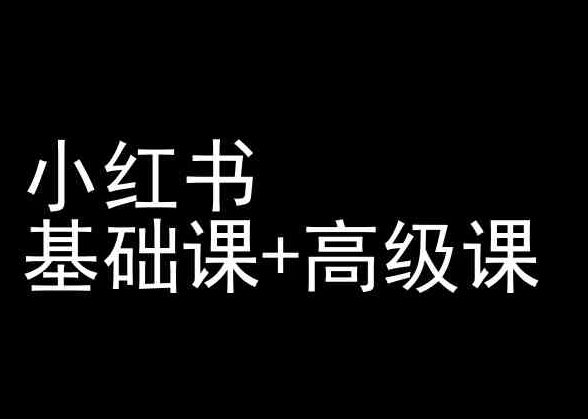 小红书基础课+高级课-小红书运营教程-轻松搞定副业 - 高效赚钱方法和建议