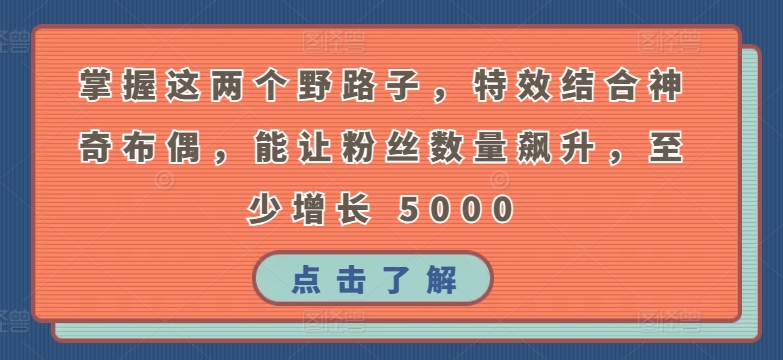 掌握这两个野路子，特效结合神奇布偶，能让粉丝数量飙升，至少增长 5000【揭秘】-轻松搞定副业 - 高效赚钱方法和建议