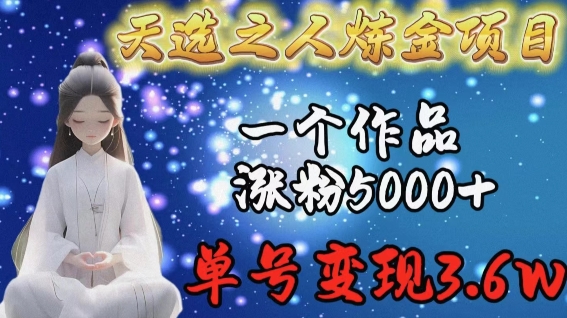 天选之人炼金项目，一个作品涨粉5000+，单号变现3.6w【揭秘】-轻松搞定副业 - 高效赚钱方法和建议