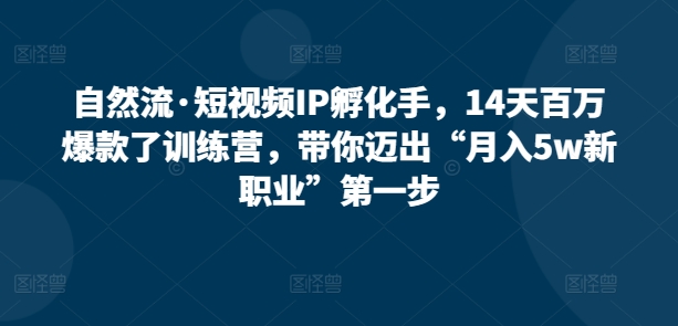 自然流·短视频IP孵化手，14天百万爆款了训练营，带你迈出“月入5w新职业”第一步-轻松搞定副业 - 高效赚钱方法和建议