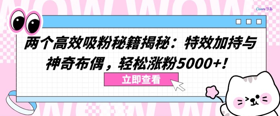 两个高效吸粉秘籍揭秘：特效加持与神奇布偶，轻松涨粉5000+【揭秘】-轻松搞定副业 - 高效赚钱方法和建议
