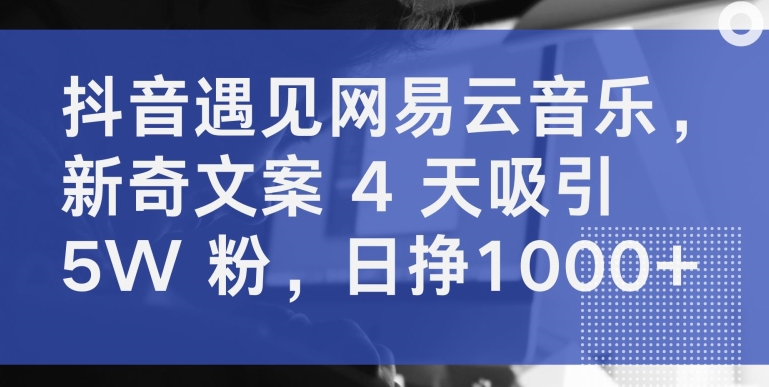 抖音遇见网易云音乐，新奇文案 4 天吸引 5W 粉，日挣1000+【揭秘】-轻松搞定副业 - 高效赚钱方法和建议