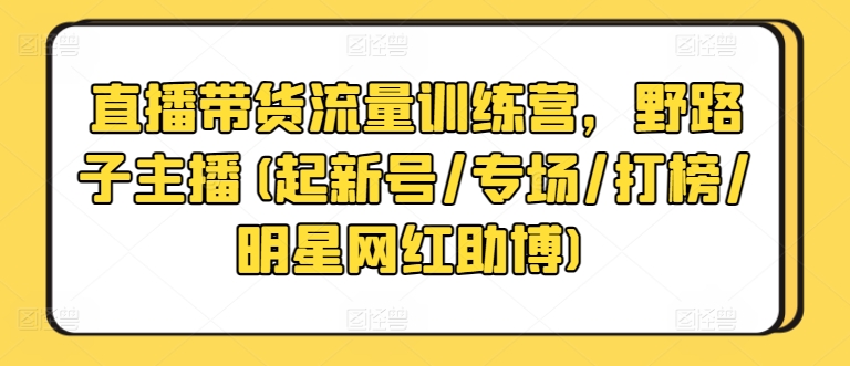 直播带货流量训练营，野路子主播(起新号/专场/打榜/明星网红助博)-轻松搞定副业 - 高效赚钱方法和建议