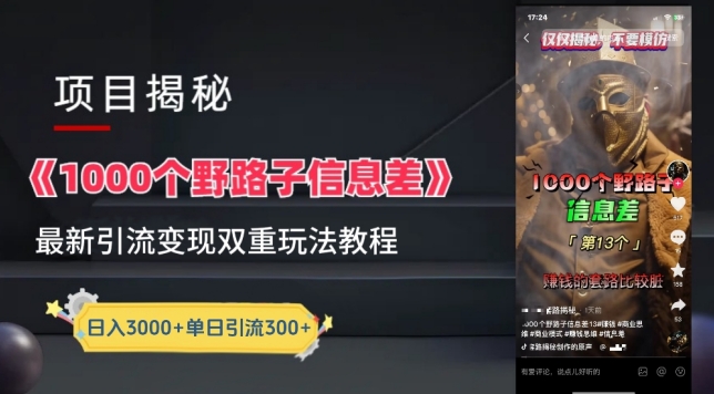 一千个野路子信息差最新玩法教程-变现+引流的玩法具体拆解【揭秘】-轻松搞定副业 - 高效赚钱方法和建议