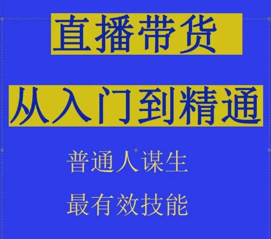 2024抖音直播带货直播间拆解抖运营从入门到精通，普通人谋生最有效技能-轻松搞定副业 - 高效赚钱方法和建议