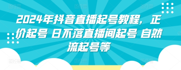 2024年抖音直播起号教程，正价起号 日不落直播间起号 自然流起号等-轻松搞定副业 - 高效赚钱方法和建议