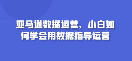 亚马逊数据运营，小白如何学会用数据指导运营-轻松搞定副业 - 高效赚钱方法和建议