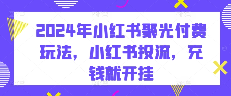 2024年小红书聚光付费玩法，小红书投流，充钱就开挂-轻松搞定副业 - 高效赚钱方法和建议