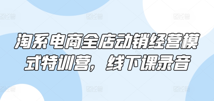 淘系电商全店动销经营模式特训营，线下课录音-轻松搞定副业 - 高效赚钱方法和建议