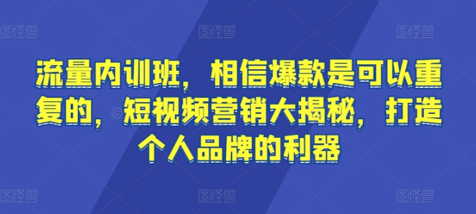 流量内训班，相信爆款是可以重复的，短视频营销大揭秘，打造个人品牌的利器-轻松搞定副业 - 高效赚钱方法和建议