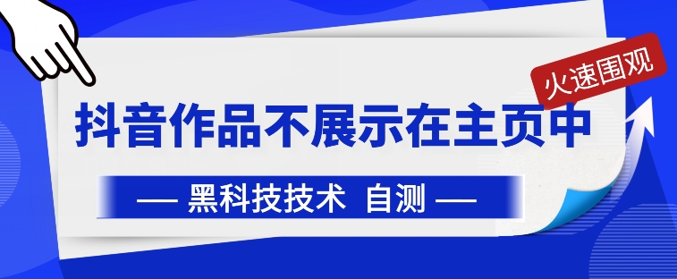 抖音黑科技：抖音作品不展示在主页中【揭秘】-轻松搞定副业 - 高效赚钱方法和建议