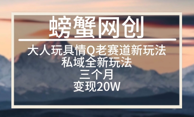 大人玩具情Q用品赛道私域全新玩法，三个月变现20W，老项目新思路【揭秘】-轻松搞定副业 - 高效赚钱方法和建议