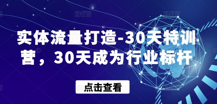 实体流量打造-30天特训营，30天成为行业标杆-轻松搞定副业 - 高效赚钱方法和建议