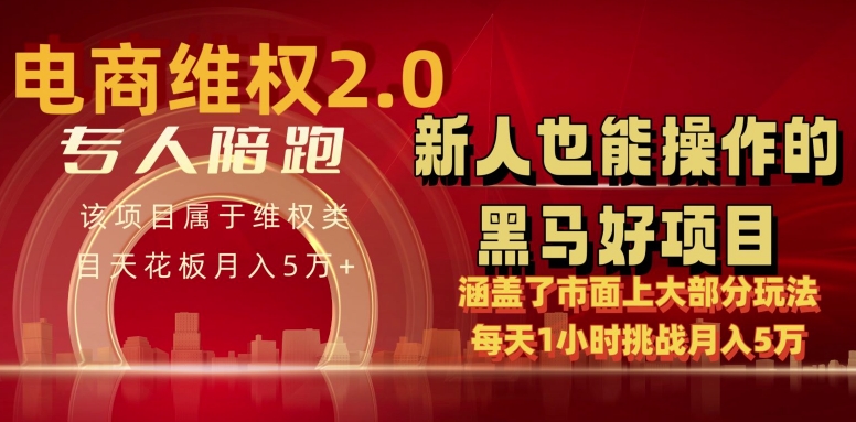 电商维权 4.0 如何做到月入 5 万+每天 1 小时新人也能快速上手【仅揭秘】-轻松搞定副业 - 高效赚钱方法和建议