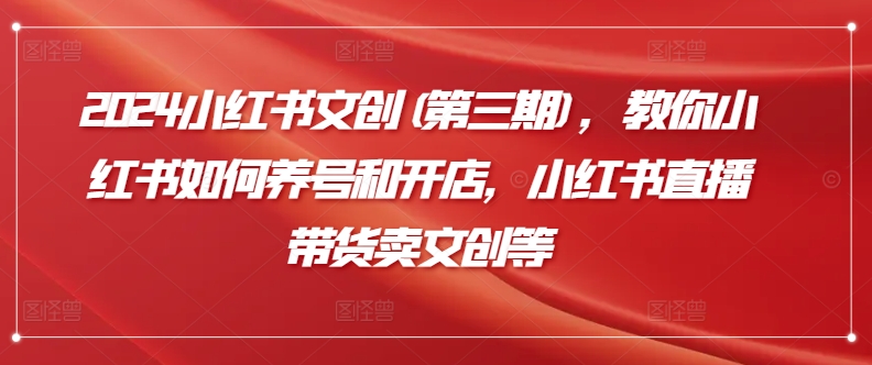 2024小红书文创(第三期)，教你小红书如何养号和开店，小红书直播带货卖文创等-轻松搞定副业 - 高效赚钱方法和建议