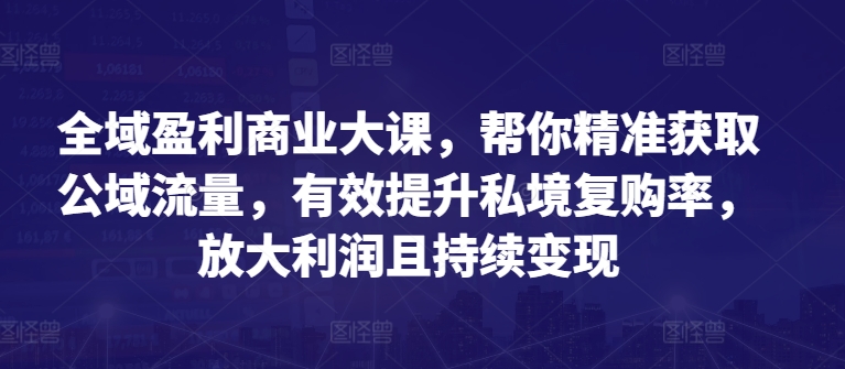 全域盈利商业大课，帮你精准获取公域流量，有效提升私境复购率，放大利润且持续变现-轻松搞定副业 - 高效赚钱方法和建议