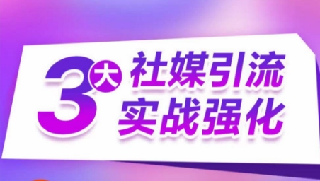 3大社媒引流实战强化，多渠道站外引流，高效精准获客，订单销售额翻倍增长-轻松搞定副业 - 高效赚钱方法和建议