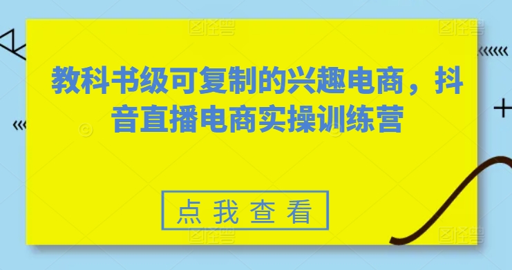 教科书级可复制的兴趣电商，抖音直播电商实操训练营-轻松搞定副业 - 高效赚钱方法和建议