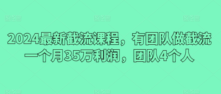 2024最新截流课程，有团队做截流一个月35万利润，团队4个人-轻松搞定副业 - 高效赚钱方法和建议