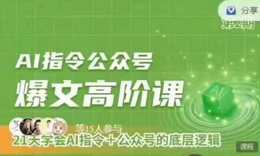 Ai指令公众号高阶课，学会ai指令+公众号的底层逻辑-轻松搞定副业 - 高效赚钱方法和建议