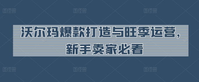 沃尔玛爆款打造与旺季运营，新手卖家必看-轻松搞定副业 - 高效赚钱方法和建议