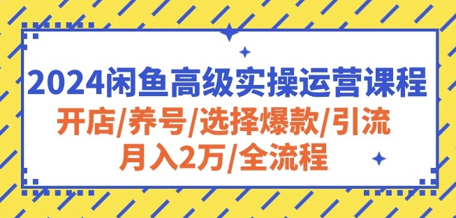 2024闲鱼高级实操运营课程：开店/养号/选择爆款/引流/月入2万/全流程-轻松搞定副业 - 高效赚钱方法和建议